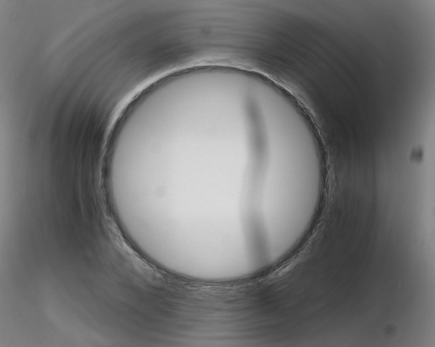 X0000116800880200912181115