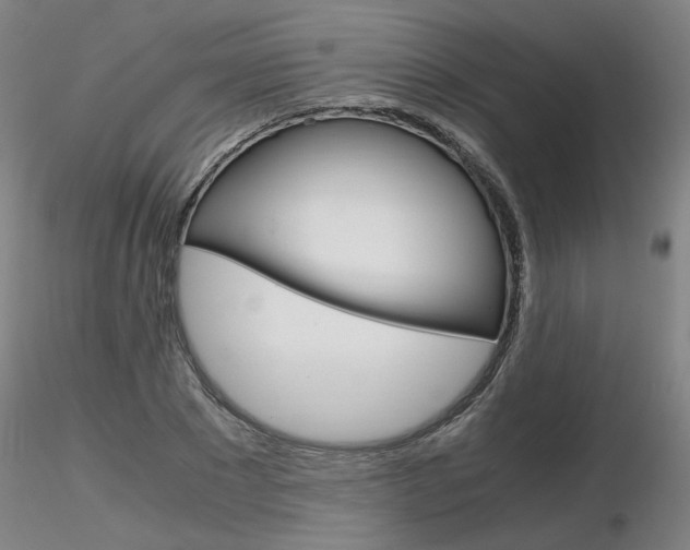 X0000116800881200912181115