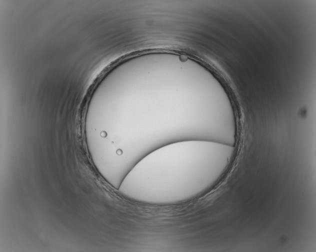 X0000116800883200912181115