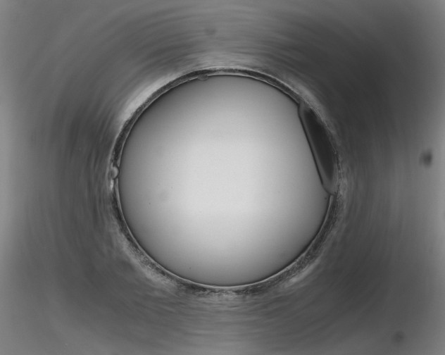 X0000116800885200912181115