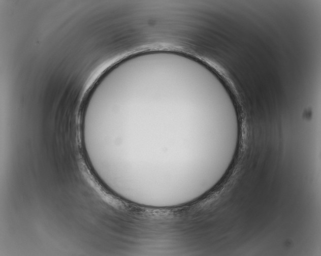 X0000116800886200912181115