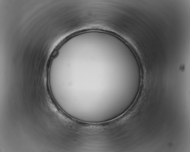 X0000116800888200912181115
