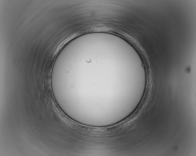 X0000116800889200912181115