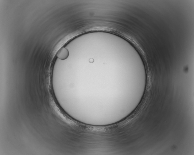 X0000116800890200912181115