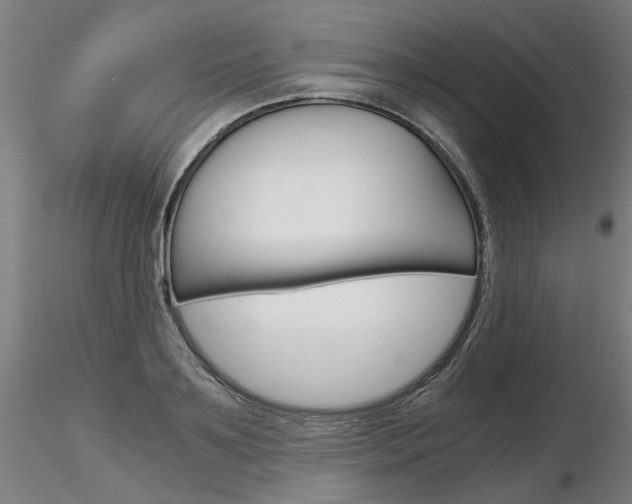 X0000116800891200912181115