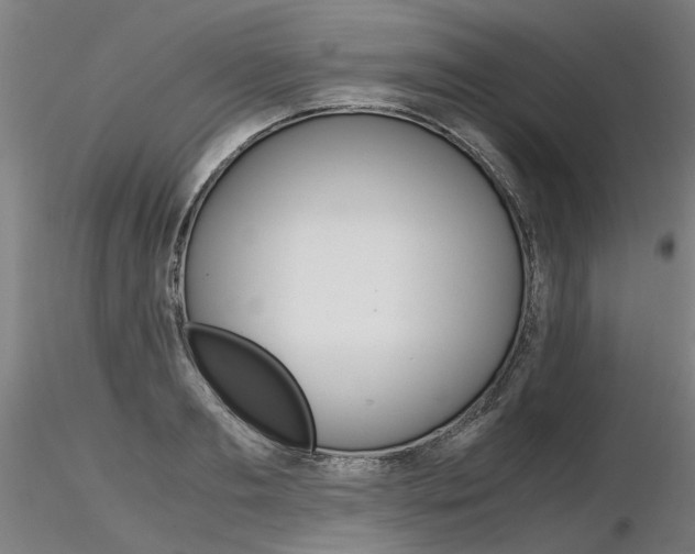 X0000116800893200912181115