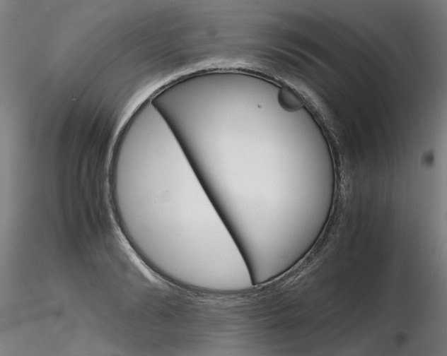 X0000116800894200912181115