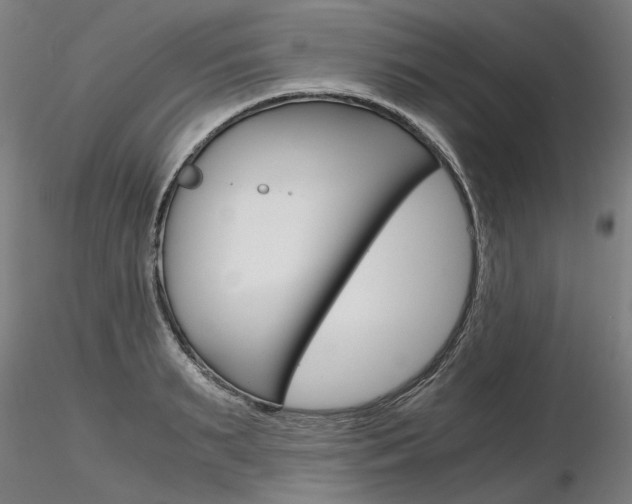 X0000116800895200912181115