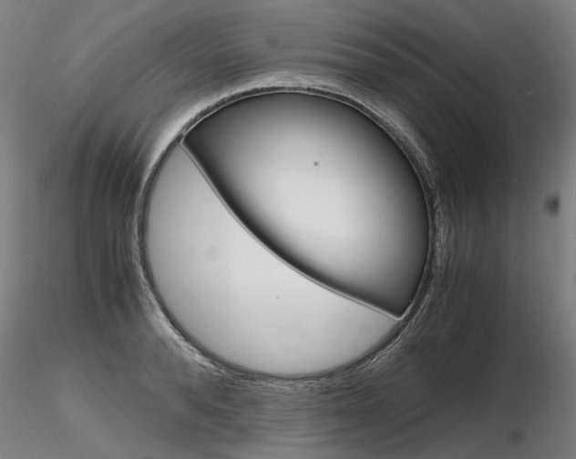 X0000116800896200912181115