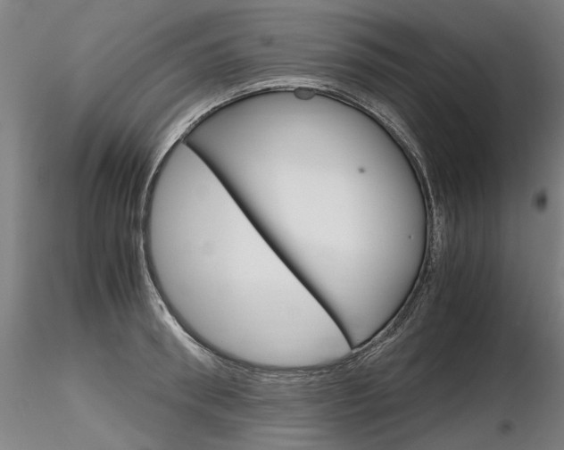 X0000116800898200912181115