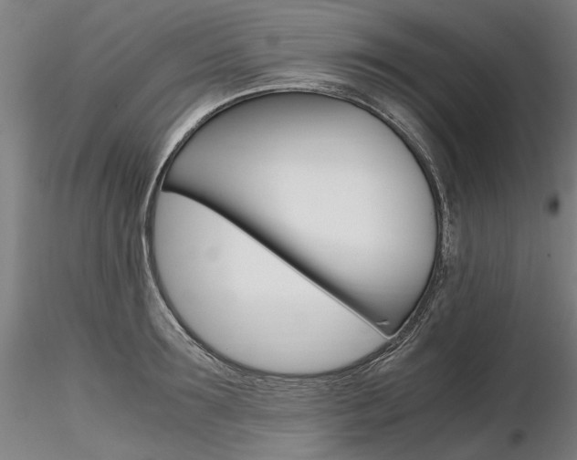 X0000116800899200912181115
