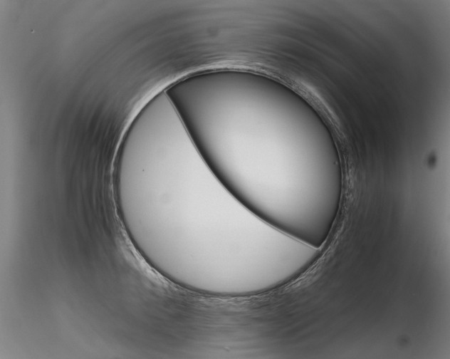 X0000116800900200912181115