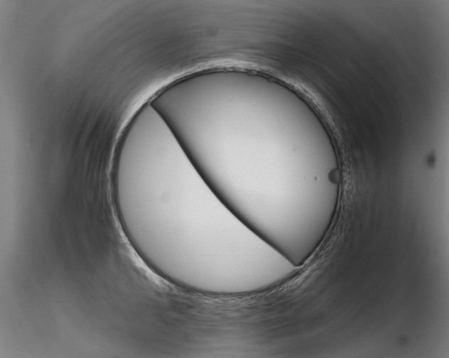 X0000116800902200912181115