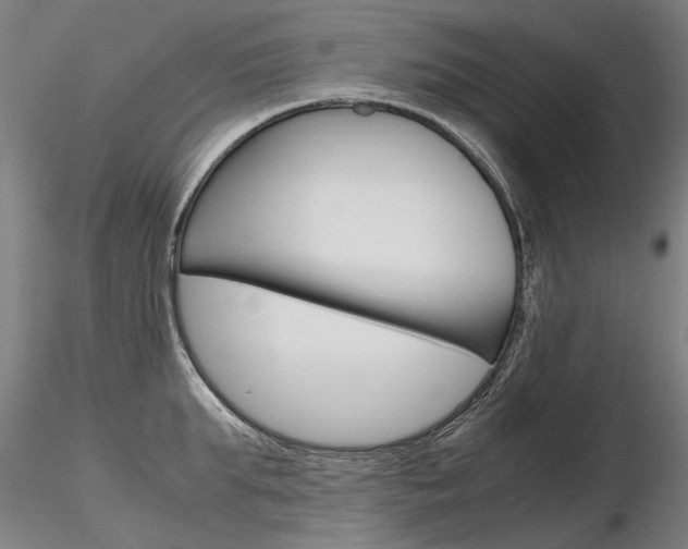 X0000116800903200912181115