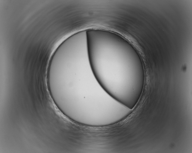 X0000116800904200912181115