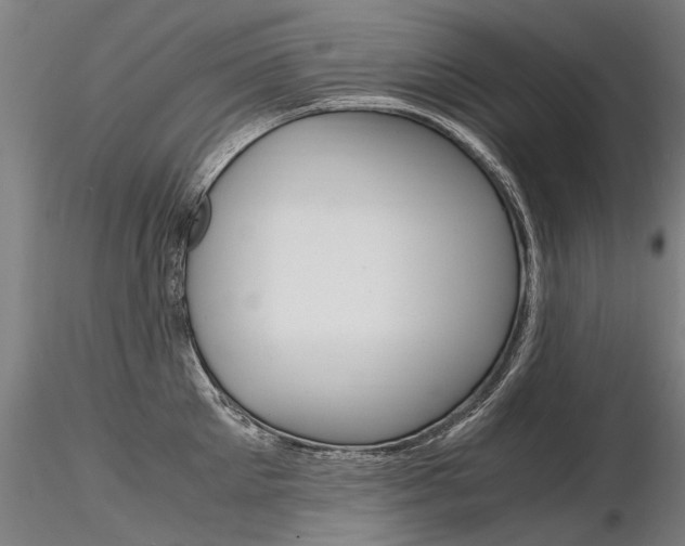 X0000116800905200912181115