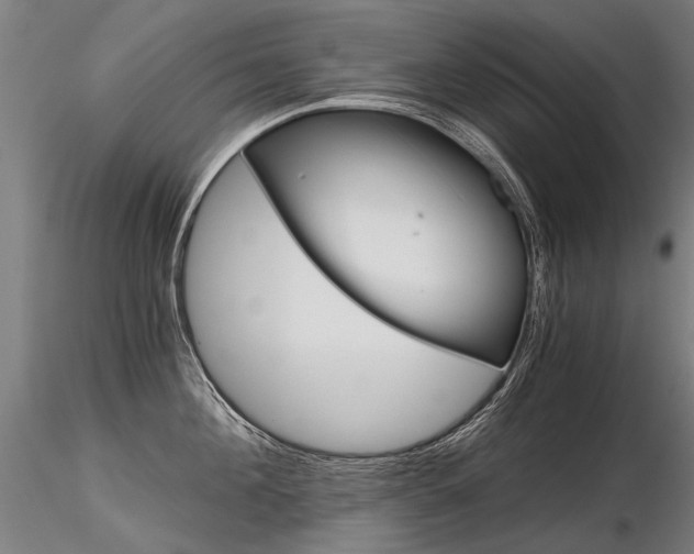 X0000116800908200912181115