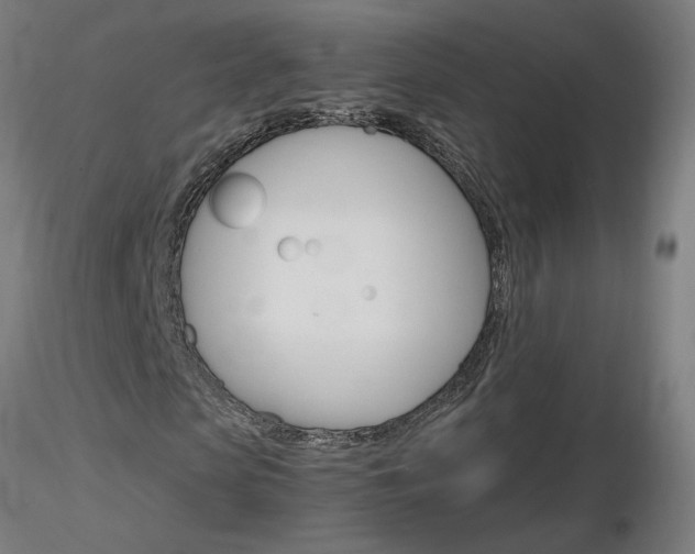 X0000116800913200912181114