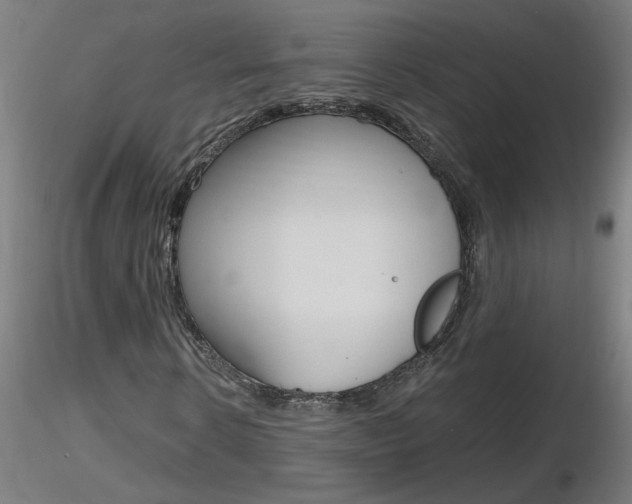 X0000116800914200912181114