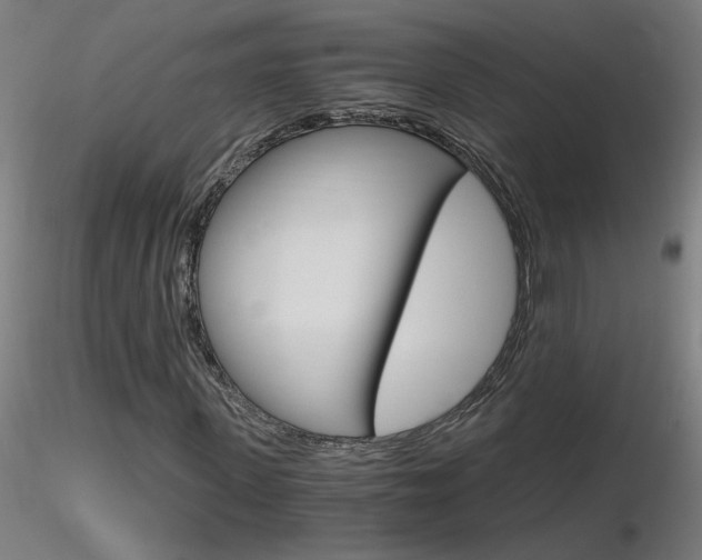 X0000116800915200912181114