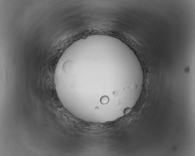 X0000116800917200912181114