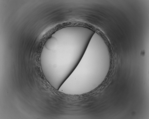 X0000116800919200912181114