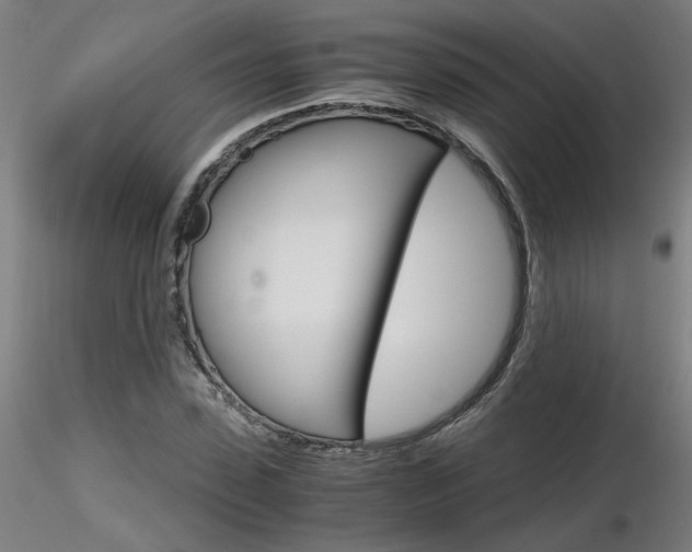 X0000116800923200912181114