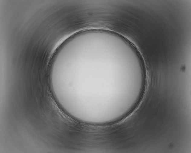 X0000116800925200912181114
