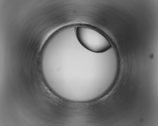 X0000116800926200912181114