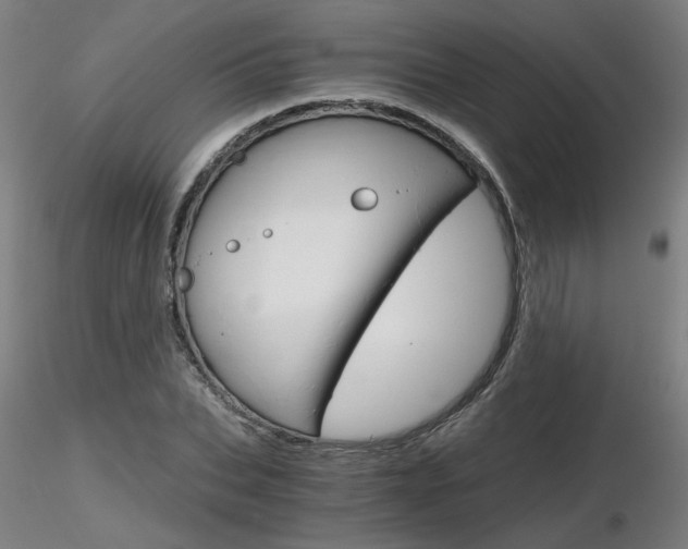 X0000116800927200912181114