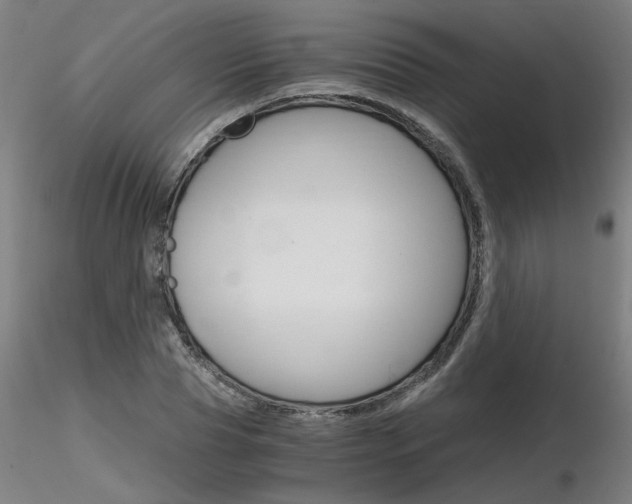 X0000116800929200912181114