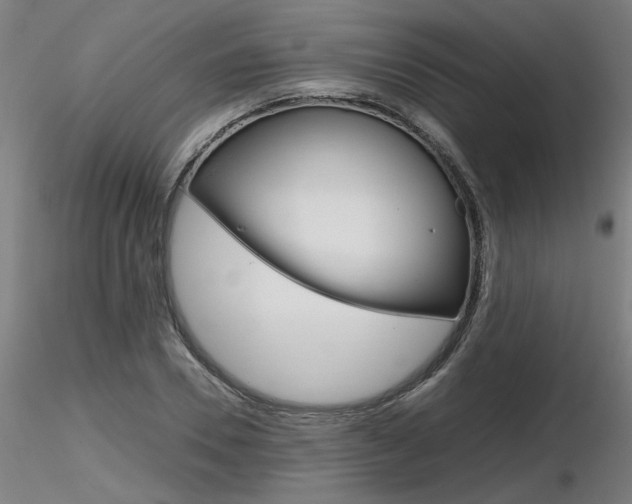X0000116800930200912181114