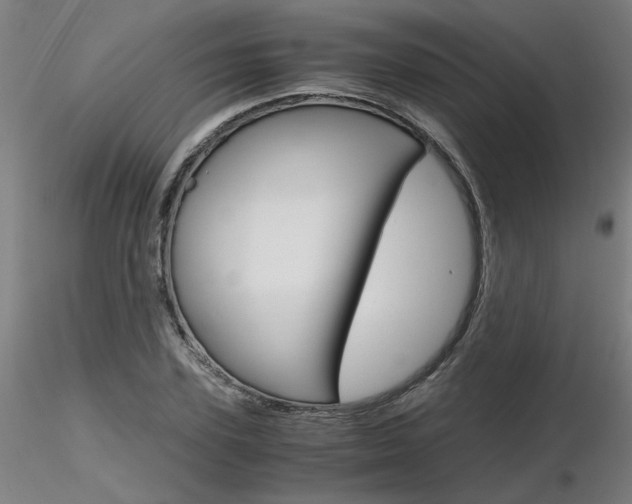 X0000116800931200912181114