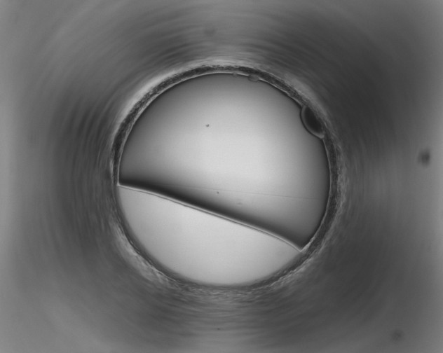 X0000116800934200912181114