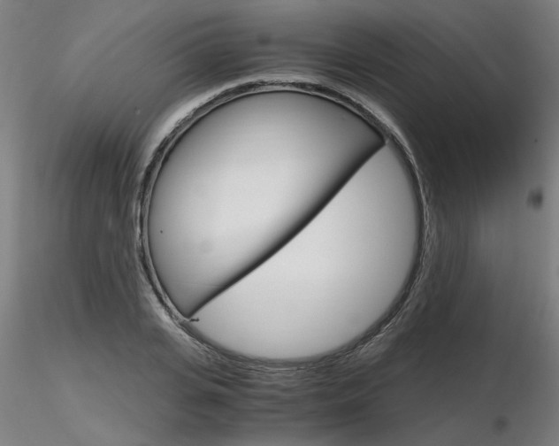X0000116800935200912181114