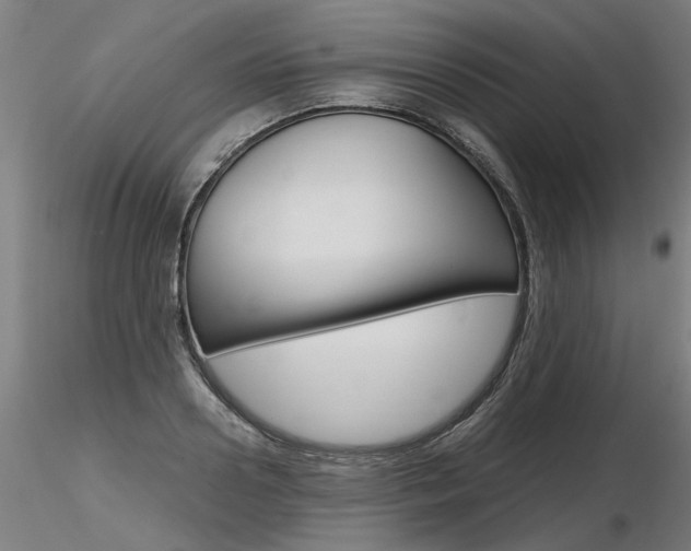 X0000116800938200912181115