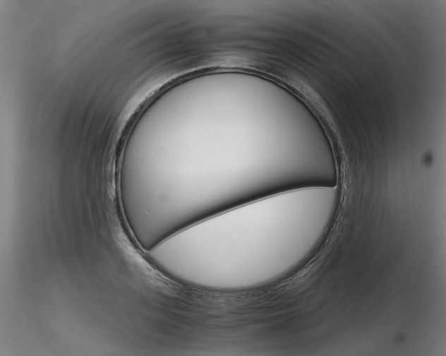 X0000116800939200912181115