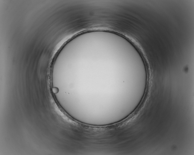 X0000116800941200912181115