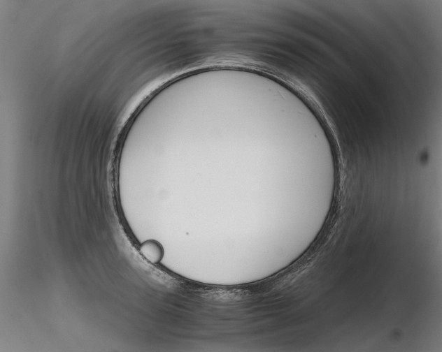 X0000116800947200912181115