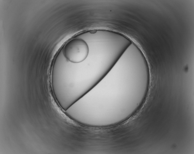 X0000116800949200912181115