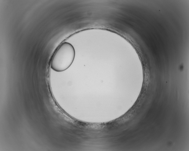 X0000116800950200912181115