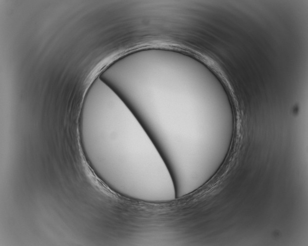 X0000116800954200912181115