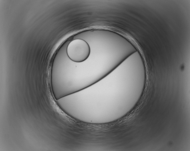 X0000116800955200912181115