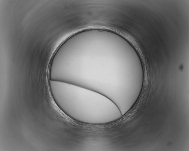 X0000116800958200912181115