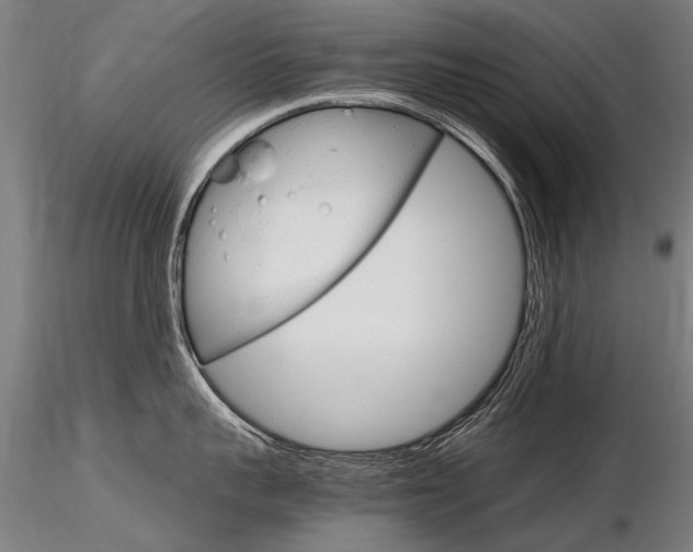 X0000116800959200912181115