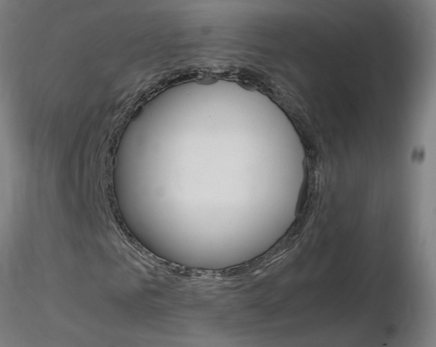 X0000116800961200912181114