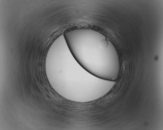X0000116800964200912181114