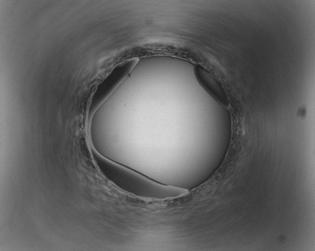 X0000116800965200912181114