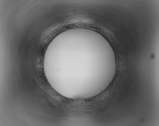 X0000116800966200912181114