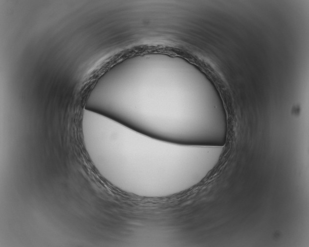 X0000116800968200912181114